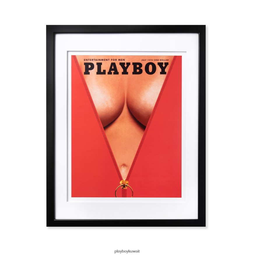 Playboy للجنسين يوليو 1973 غلاف طباعة مؤطرة R820R909 ملحق إطار أبيض